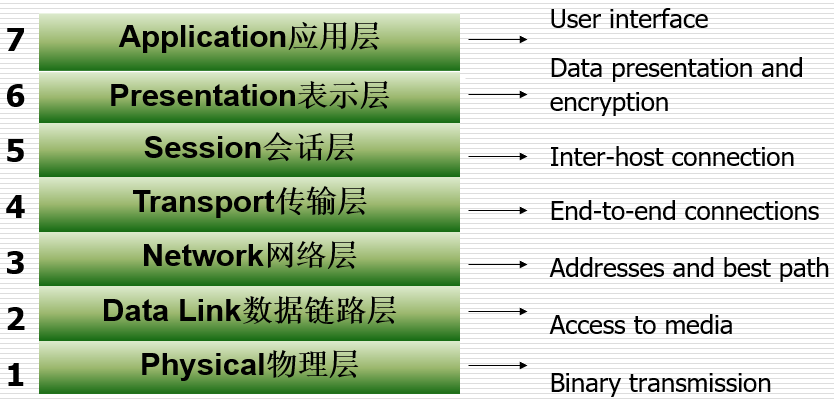 image-20250119232153769