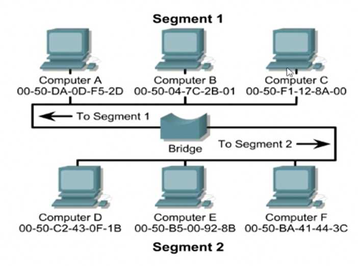 image-20250119232327964