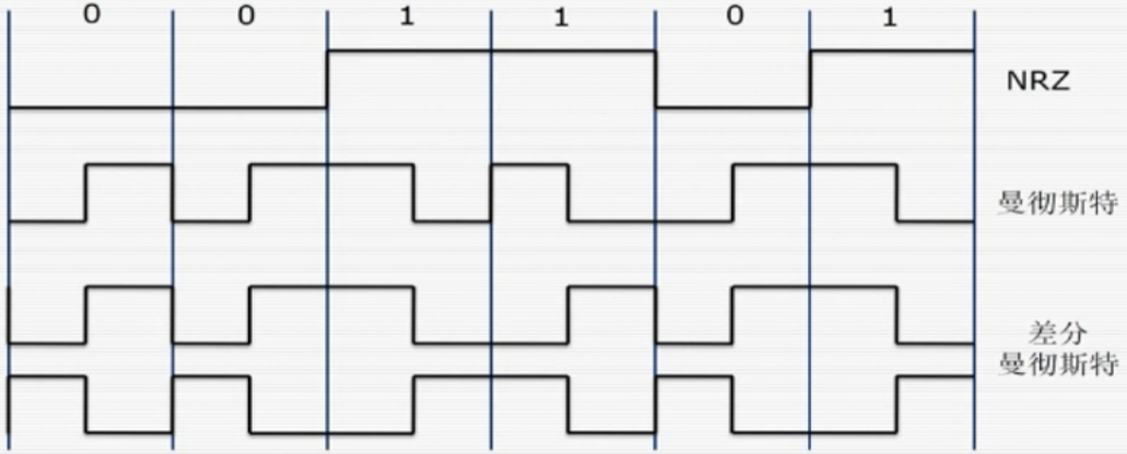 image-20250119233512654