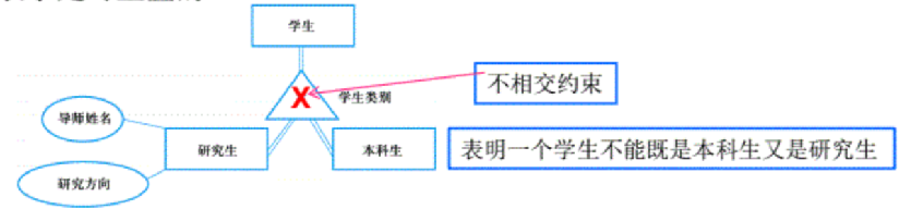 image-20250119202925606