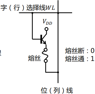 image-20250119220230394