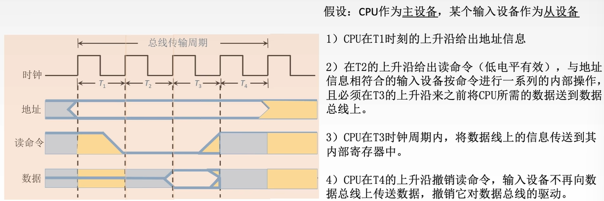 image-20250119221852877
