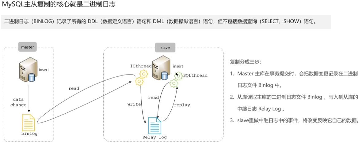 image-20250316155904661